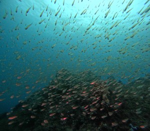 DCIM101GOPROGOPR4308.JPG