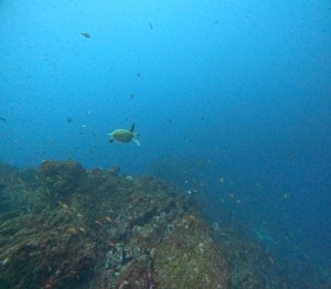 DCIM101GOPROGOPR4337.JPG
