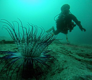 DCIM100GOPROGOPR6359.JPG