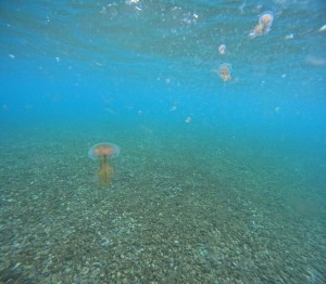 DCIM100GOPROGOPR6405.JPG