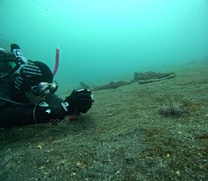 DCIM100GOPROGOPR6417.JPG