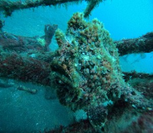 DCIM100GOPROGOPR6427.JPG