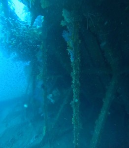 DCIM100GOPROGOPR6442.JPG