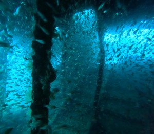 DCIM100GOPROGOPR6451.JPG
