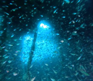 DCIM100GOPROGOPR6452.JPG