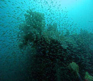 DCIM100GOPROGOPR6465.JPG