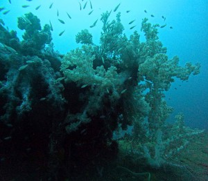 DCIM100GOPROGOPR6468.JPG