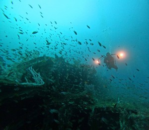 DCIM100GOPROGOPR6470.JPG