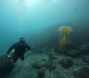 DCIM100GOPROGOPR6496.JPG