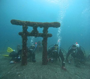 DCIM100GOPROGOPR6505.JPG