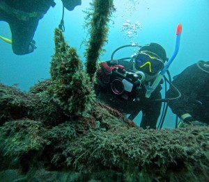 DCIM100GOPROGOPR6514.JPG