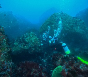 GOPR6574