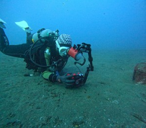 DCIM100GOPROGOPR6584.JPG