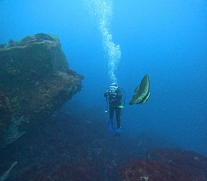DCIM100GOPROGOPR6600.JPG