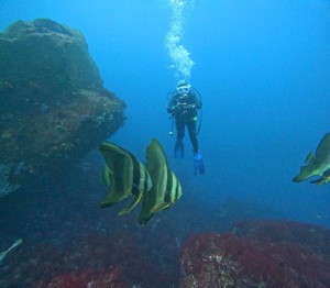 DCIM100GOPROGOPR6601.JPG