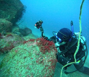 DCIM100GOPROGOPR6624.JPG
