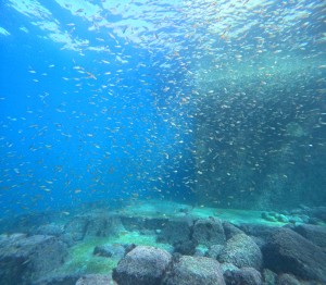 DCIM100GOPROGOPR6639.JPG