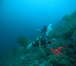 GOPR8241