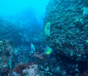 GOPR8249