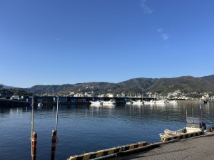 S__364093444_0