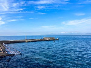S__364740616_0