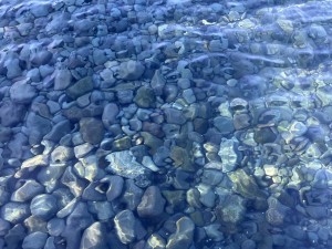 line_oa_chat_251228_171512