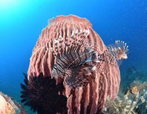 LINE_ALBUM_バリ素材_260122_4