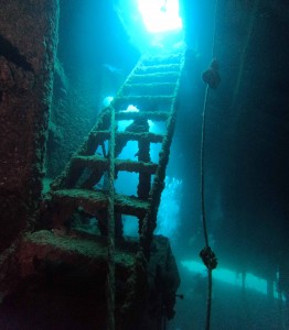DCIM101GOPROGOPR3900.JPG