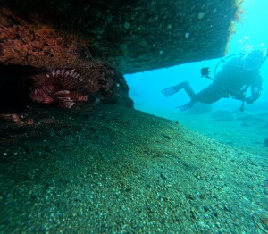 DCIM101GOPROGOPR4881.JPG