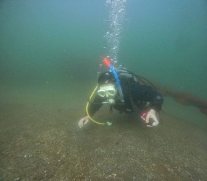 DCIM100GOPROGOPR5059.JPG