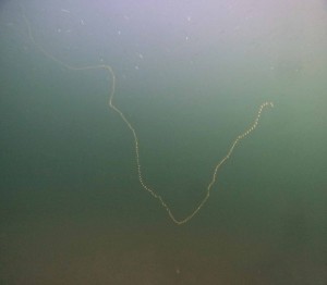 DCIM100GOPROGOPR5065.JPG