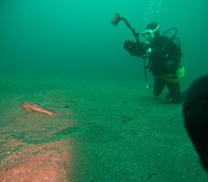 DCIM100GOPROGOPR5077.JPG