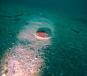 DCIM100GOPROGOPR5078.JPG