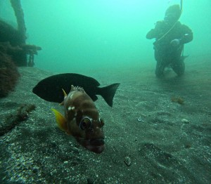 DCIM100GOPROGOPR5101.JPG