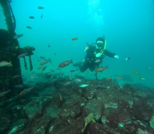 DCIM100GOPROGOPR5104.JPG