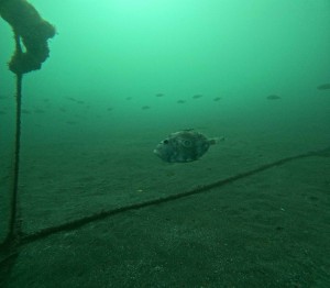 DCIM100GOPROGOPR5110.JPG