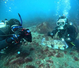 DCIM100GOPROGOPR5218.JPG