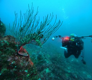 DCIM100GOPROGOPR5252.JPG