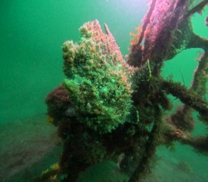 DCIM101GOPROGOPR6777.JPG