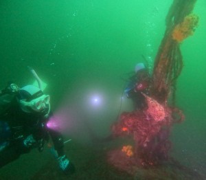 DCIM101GOPROGOPR6779.JPG