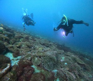 DCIM101GOPROGOPR6800.JPG