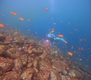 DCIM101GOPROGOPR6810.JPG