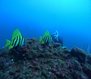 DCIM101GOPROGOPR6826.JPG