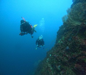 DCIM101GOPROGOPR6832.JPG