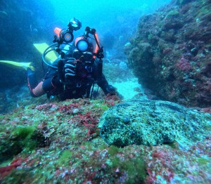 DCIM101GOPROGOPR6842.JPG