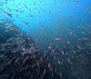 DCIM101GOPROGOPR6869.JPG