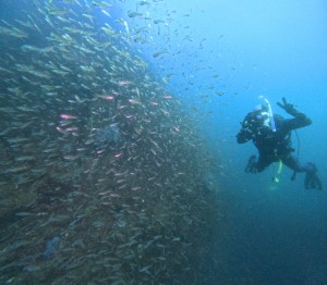 DCIM101GOPROGOPR6875.JPG
