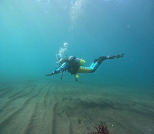 DCIM101GOPROGOPR6955.JPG