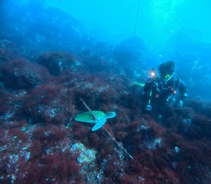 DCIM100GOPROGOPR8447.JPG