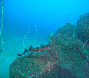 DCIM100GOPROGOPR8475.JPG